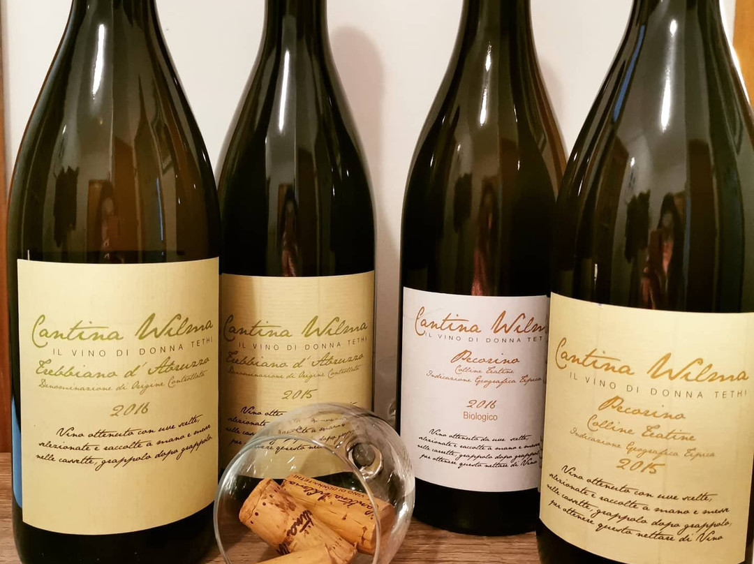 Cantina Wilma - Il vino di donna Tethi景点图片