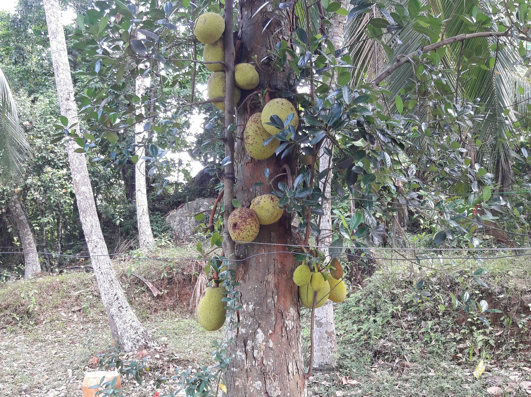 圣殿山酒店主图