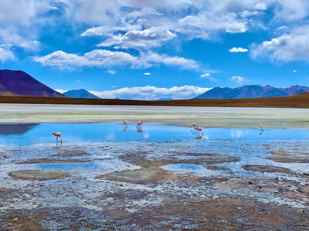 Laguna Hedionda-乌尤尼必去景点