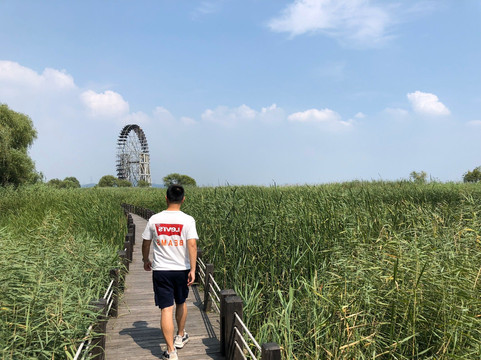 苏州太湖湿地公园-苏州市必去景点