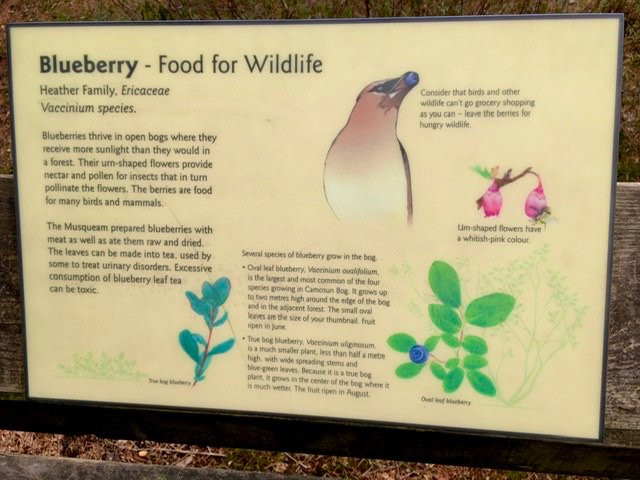 太平洋精神地区公园-温哥华必去景点