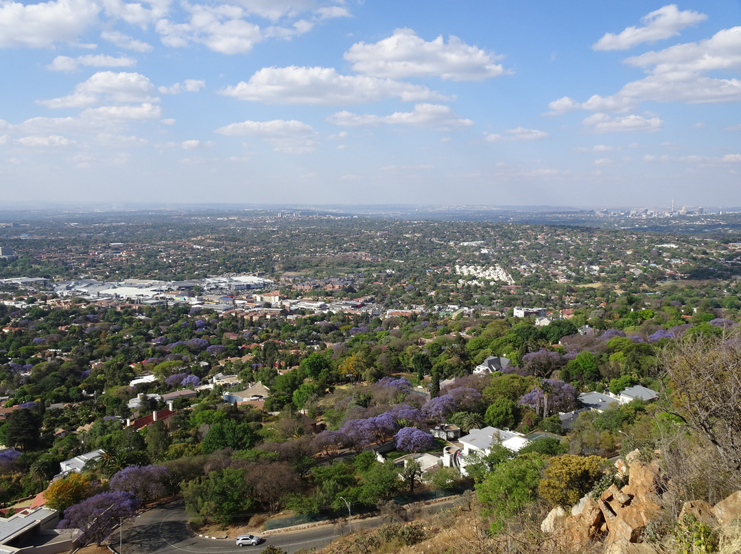 Northcliff Ridge Ecopark景点图片