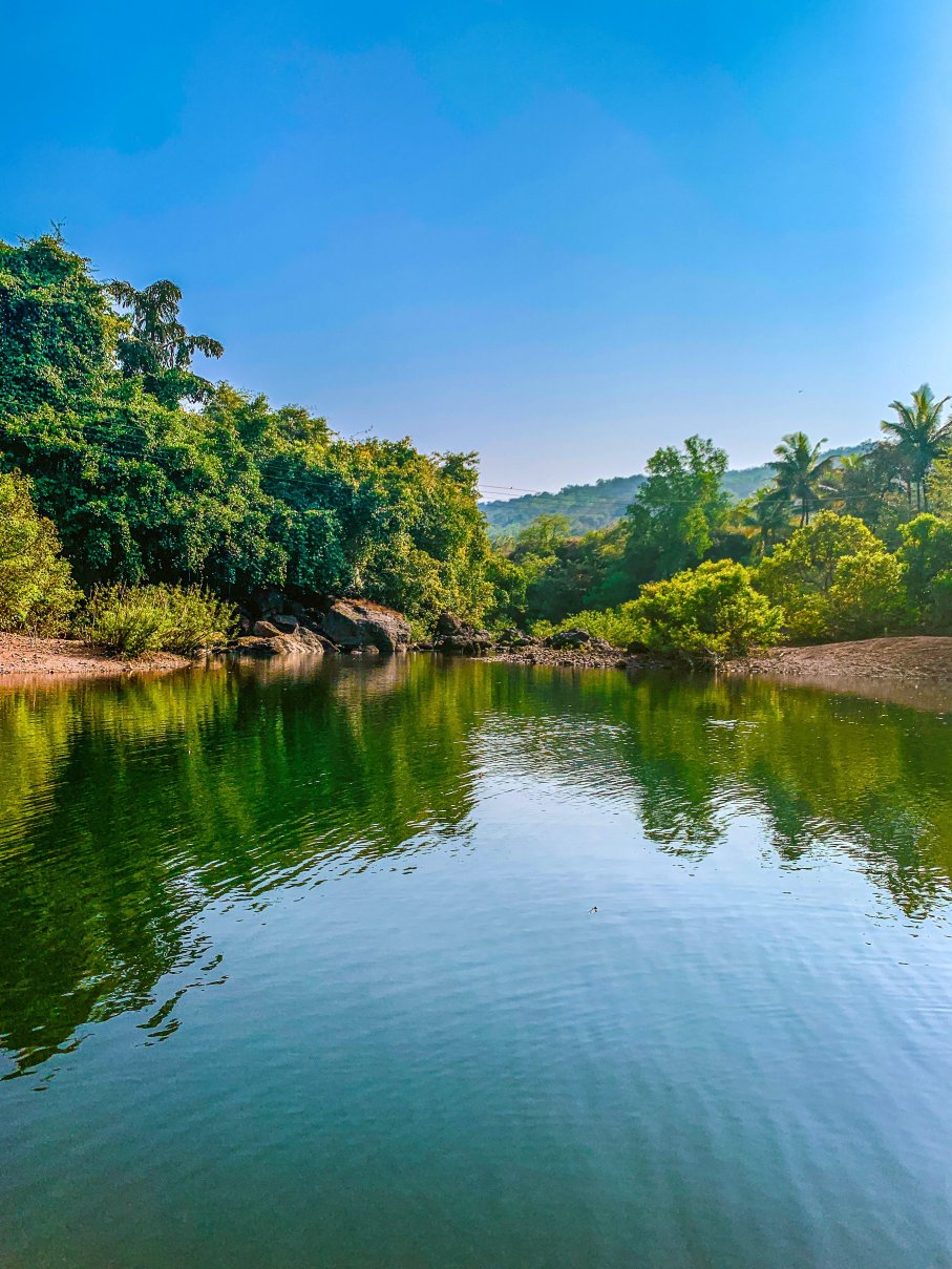 Serene Ravine Homestay-泳池