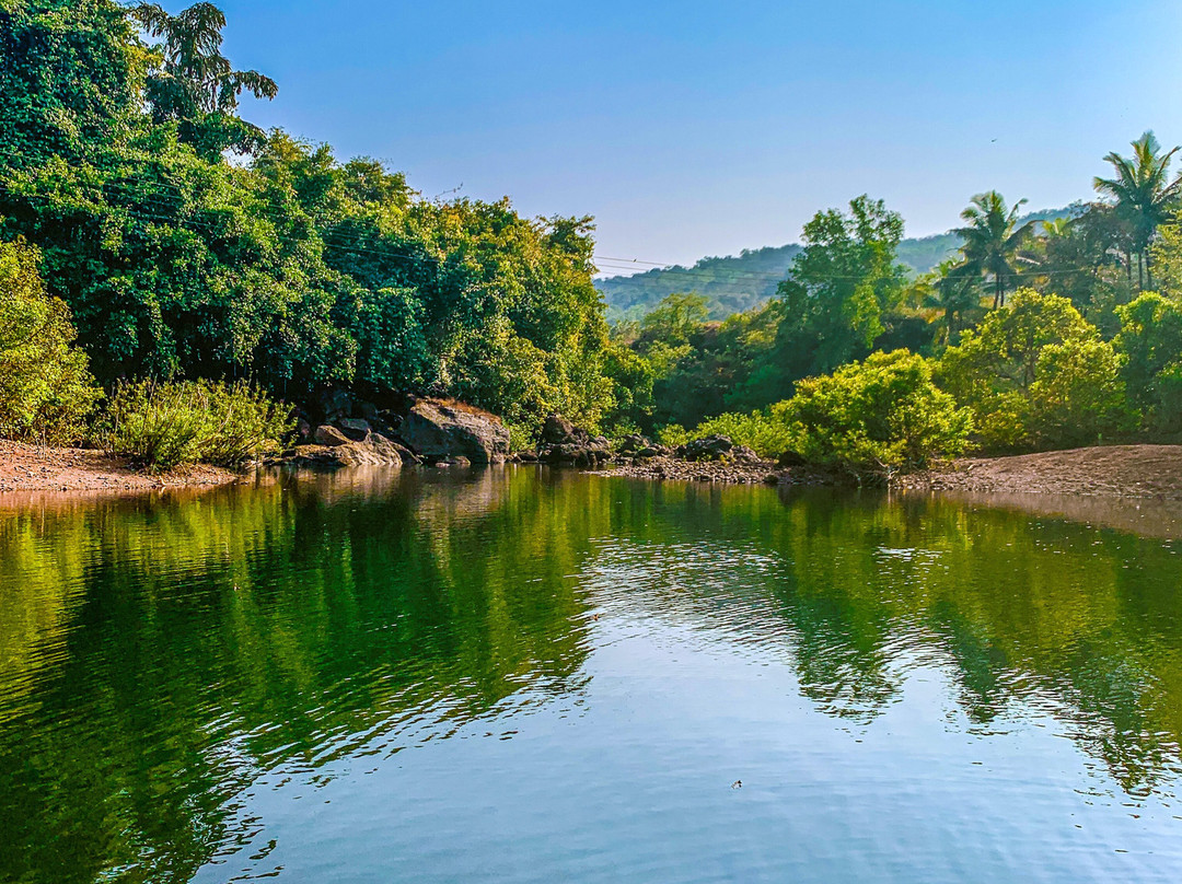 Serene Ravine Homestay主图