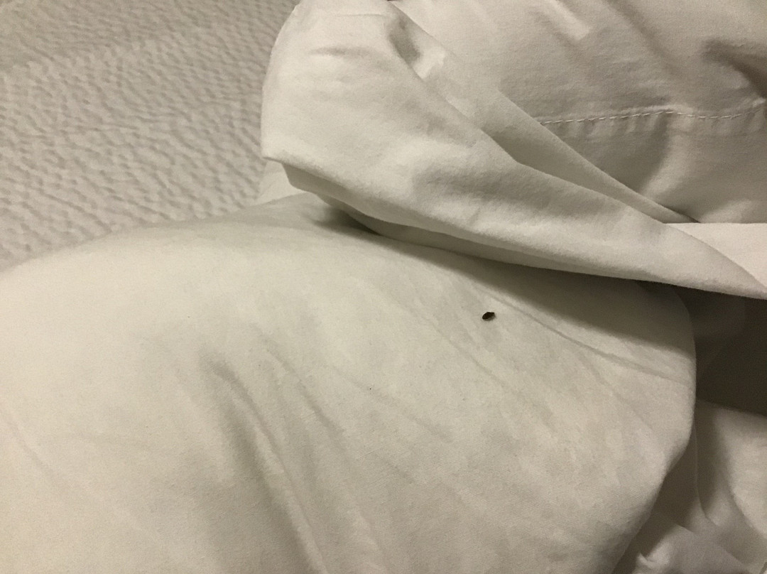 Extended Stay America - Richmond - Innsbrook主图