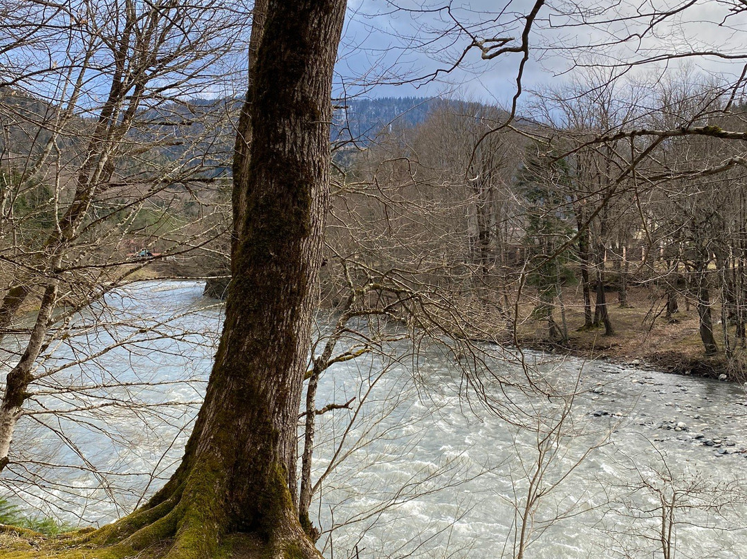 Nature Museum of the Caucasian Biosphere Reserve-Guzeripl必去景点