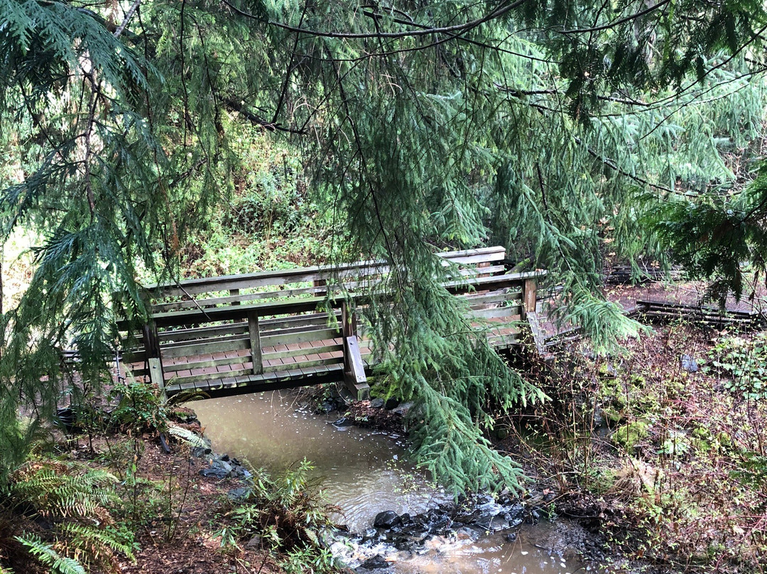 Regional Parks Botanic Garden-伯克利必去景点