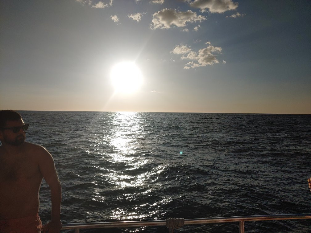 Marlin Del Rey Sailing Tours景点图片