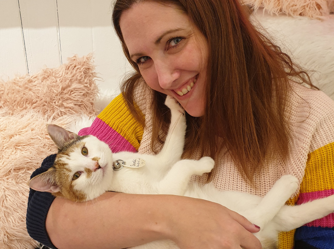 Crumbs & Whiskers-华盛顿特区必去景点