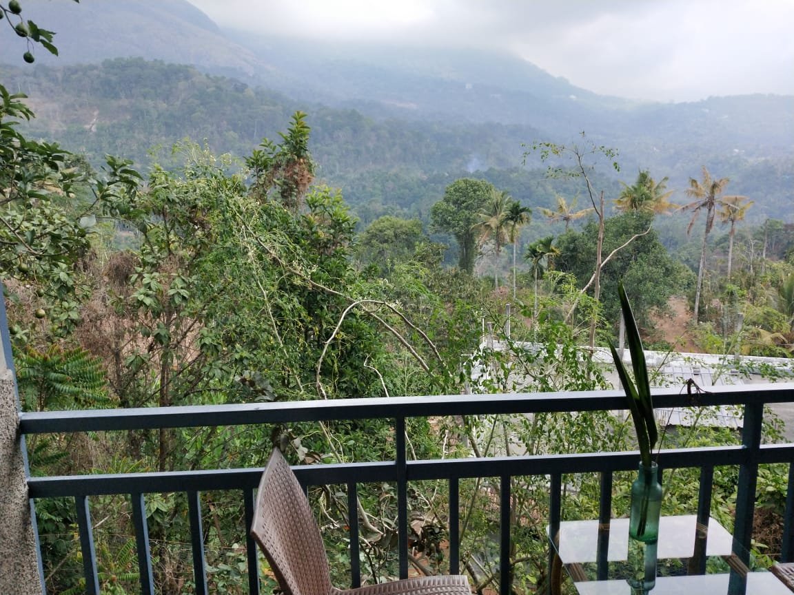 Mistletoe Munnar-酒店景观