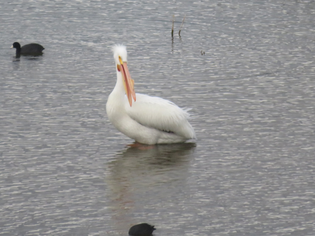 Los Vaqueros Reservoir & Watershed-Brentwood必去景点