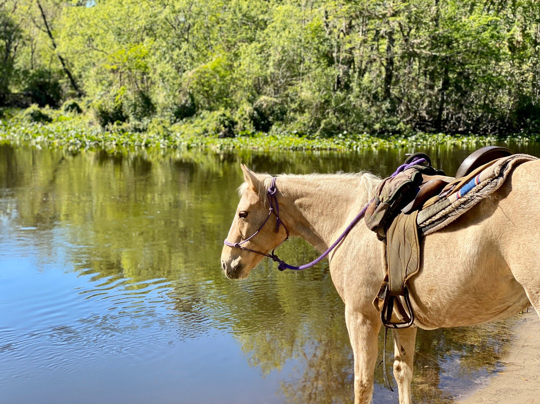 Makin Tracks Trail Rides llc.景点图片
