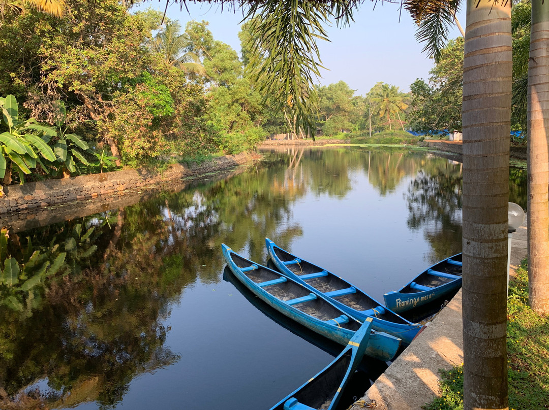 Flamingo Marari The Boutique Villa主图