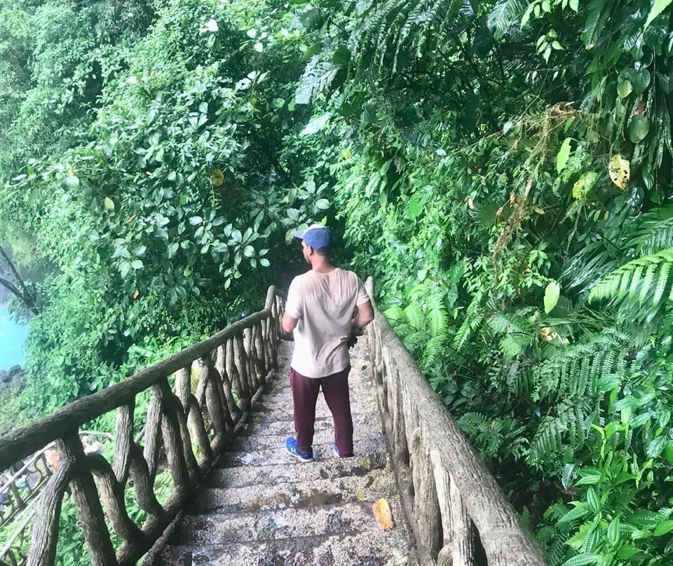 Side by Side ATV Tours & WILD LIFE-Playa Langosta必去景点