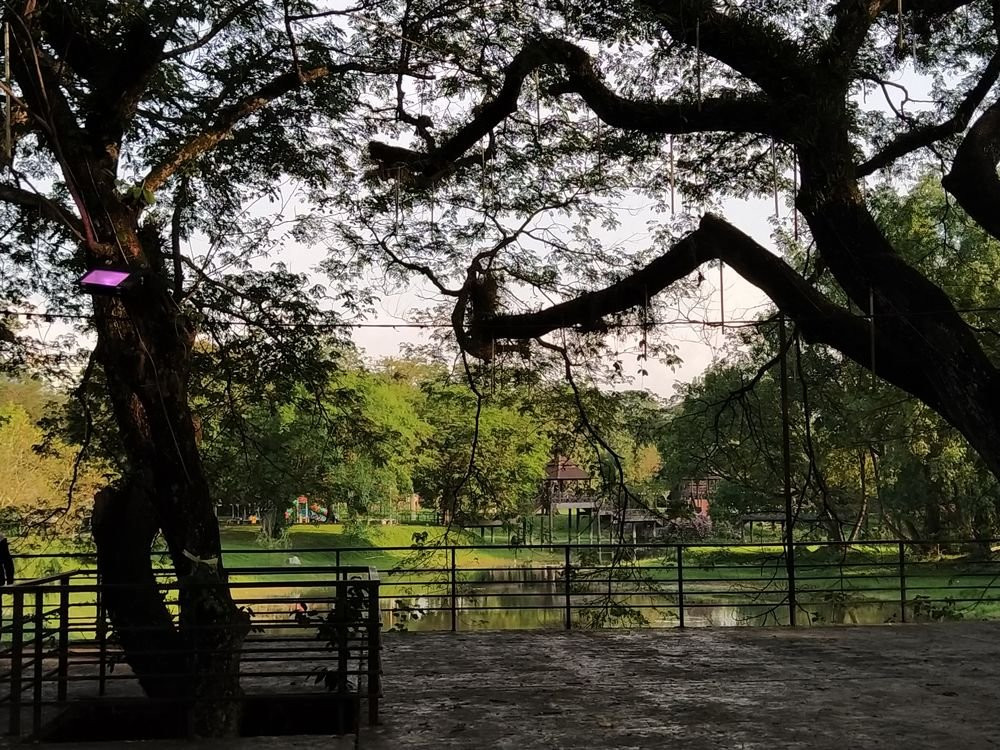 D.R. Seenivasagam Park-怡保必去景点