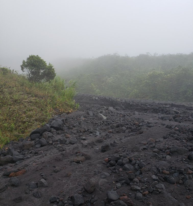 La Fortuna Arenal Volcano Rain Forest Reserve-福德圣卡洛斯必去景点