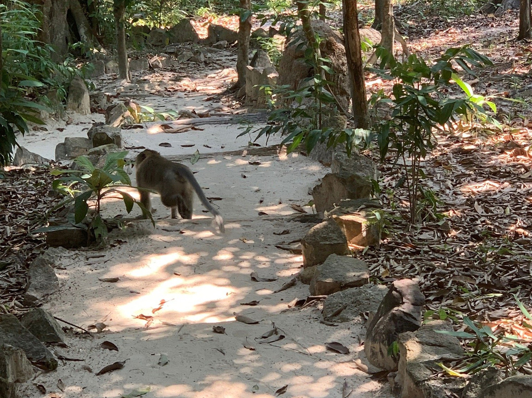 Sweet Jungle Bungalows主图