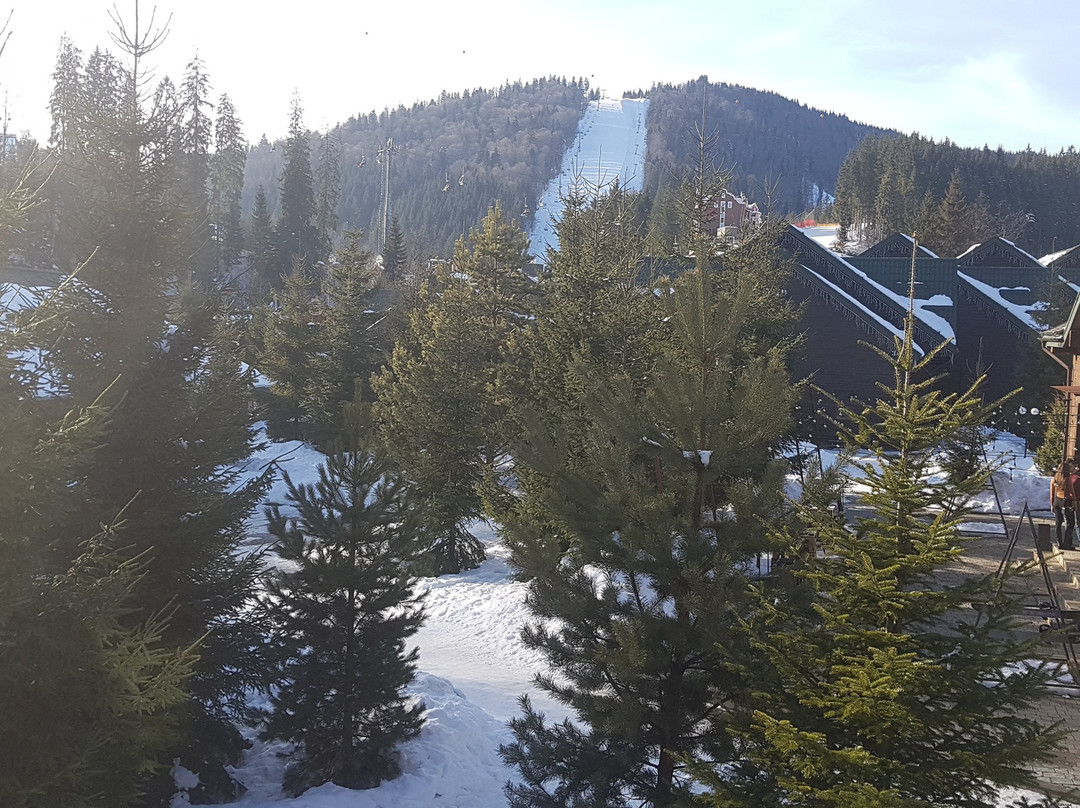 Bukovel Hotel主图