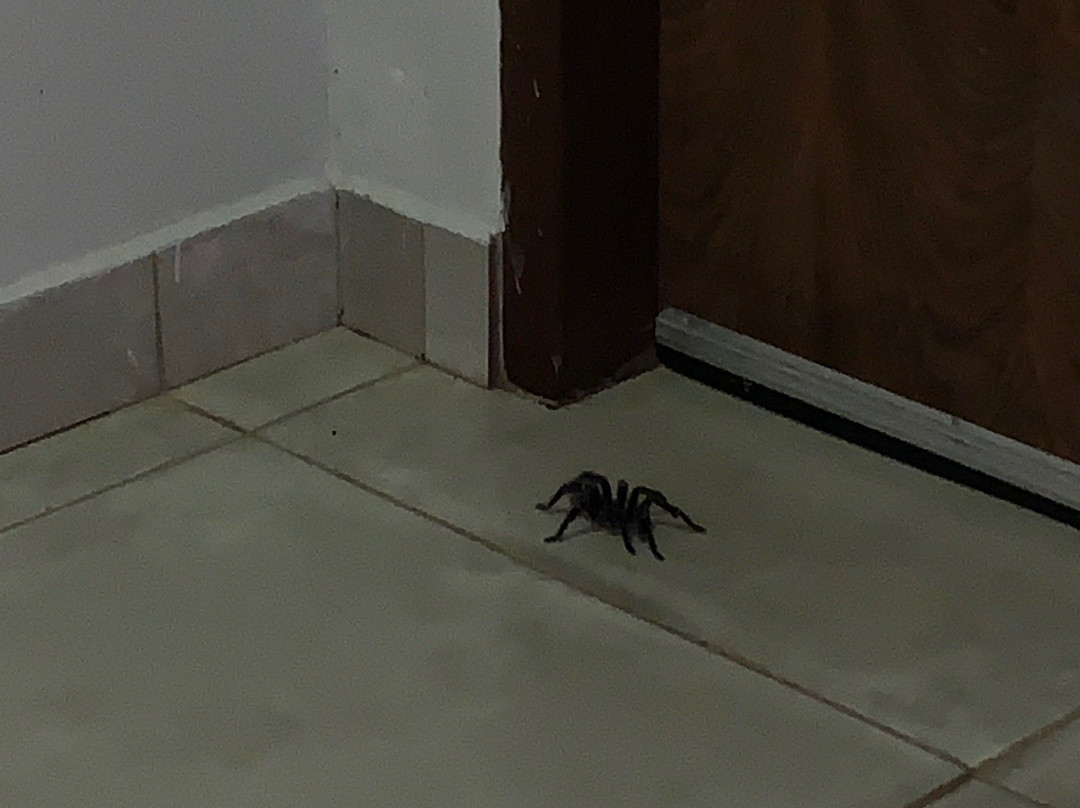 Araras Hotel Rural主图