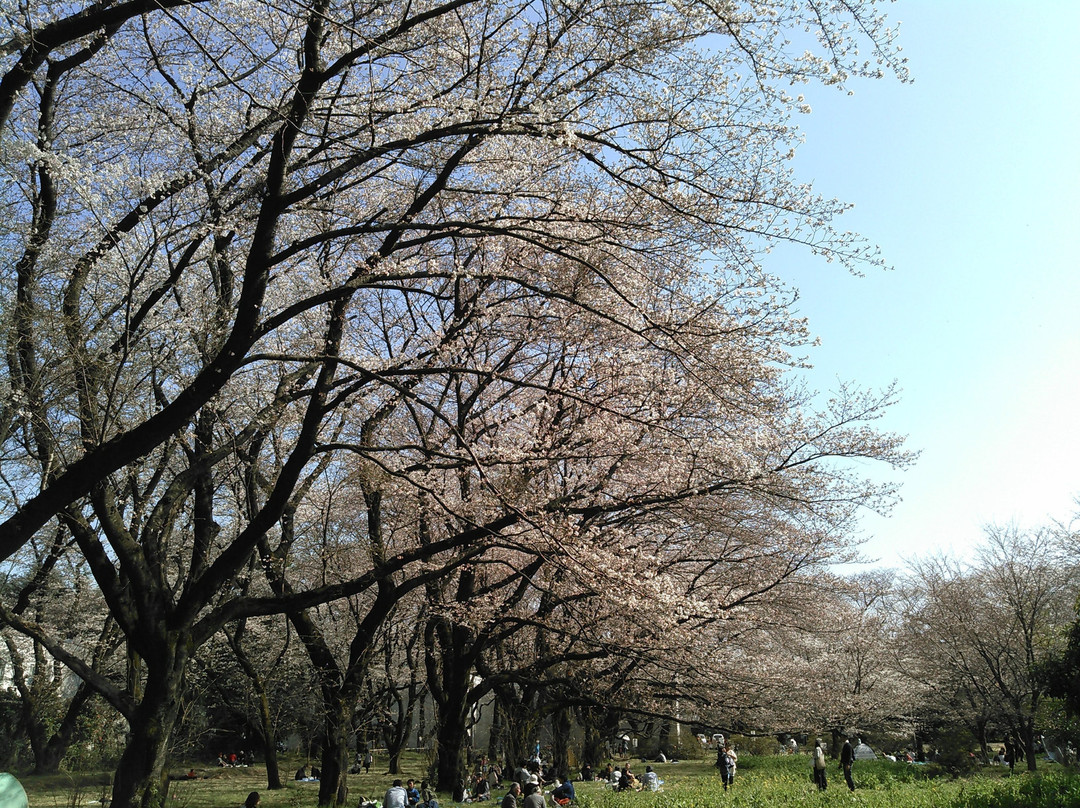 National Hansen's Disease Museum-东村山市必去景点