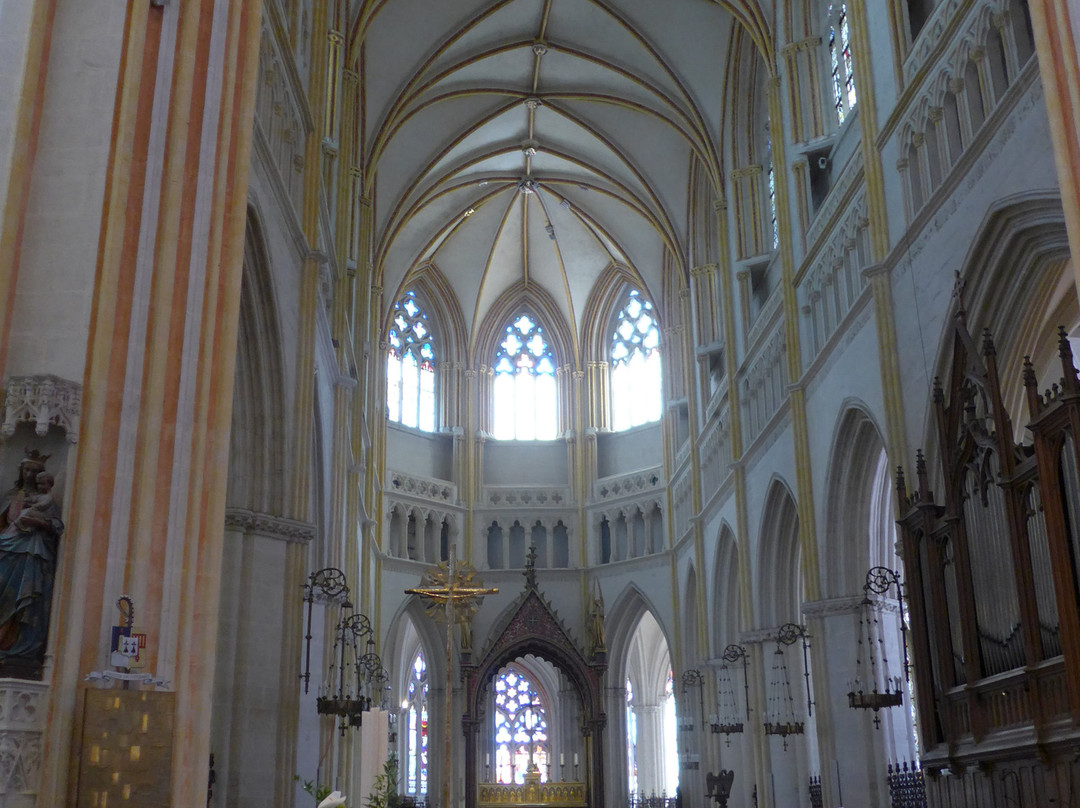 Cathedrale Saint-Corentin景点图片