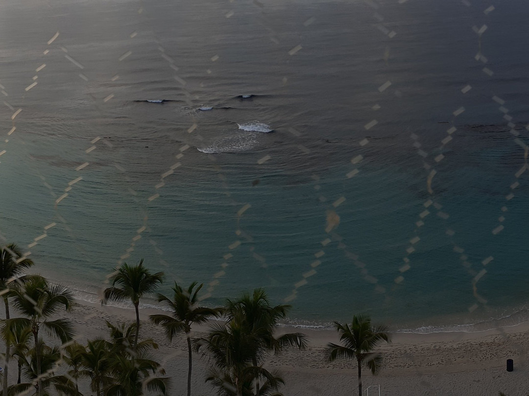 Xeliter Marbella主图