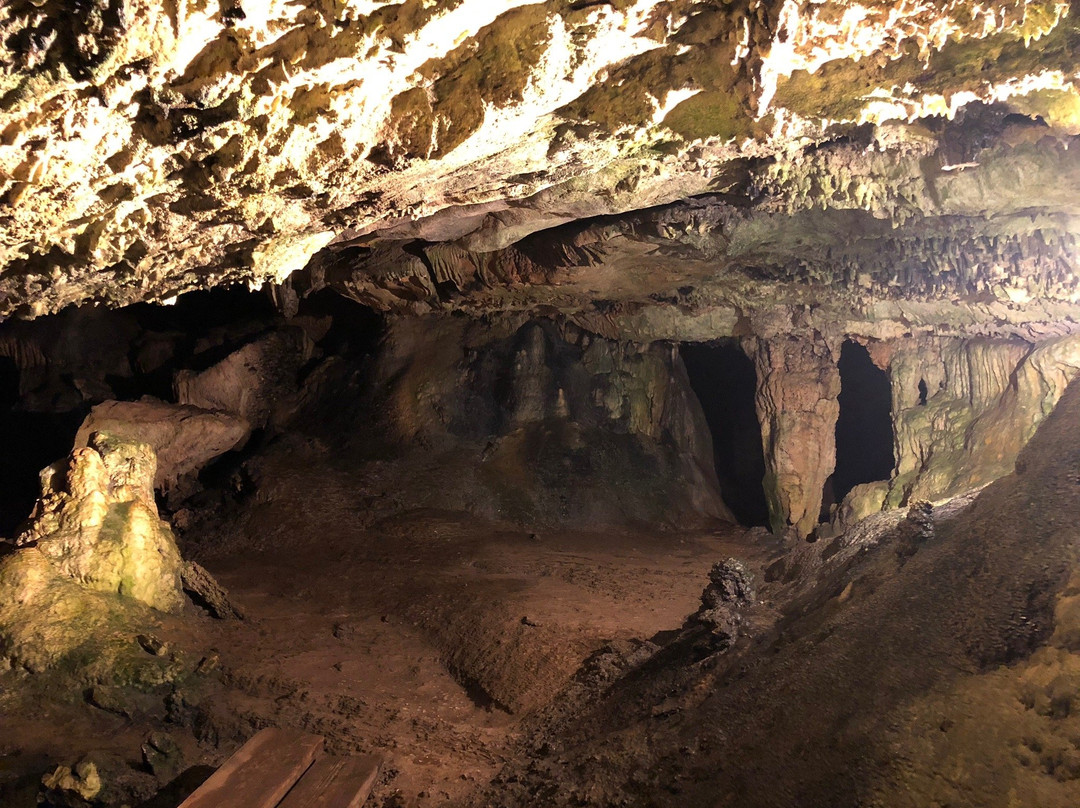 Cathedral Cave-汉密尔顿必去景点