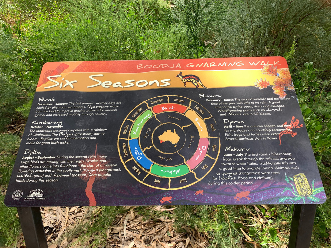 Go Cultural Aboriginal Tours and Experiences景点图片