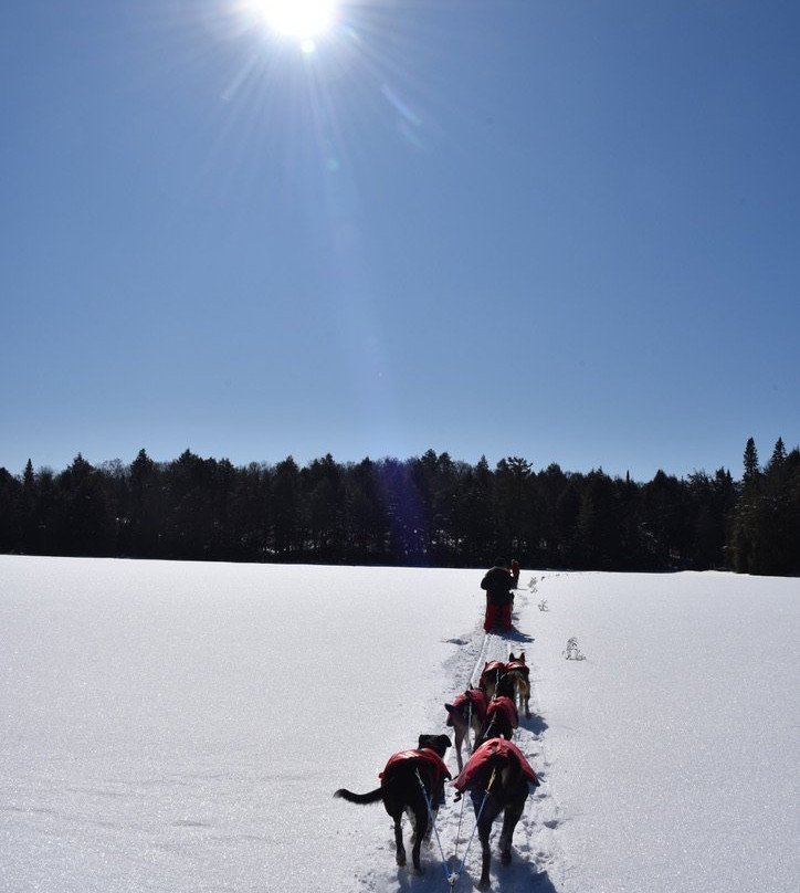 Snow Forest Adventures-阿冈昆公园必去景点