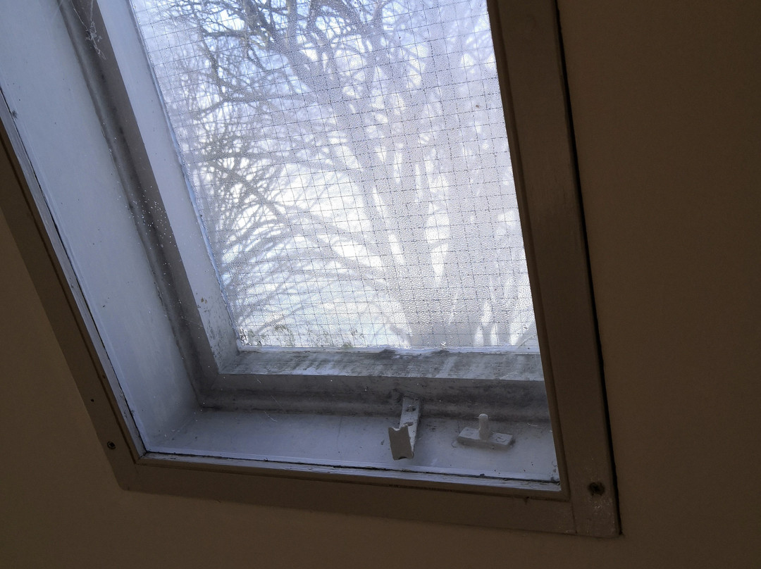 Court House Manor主图