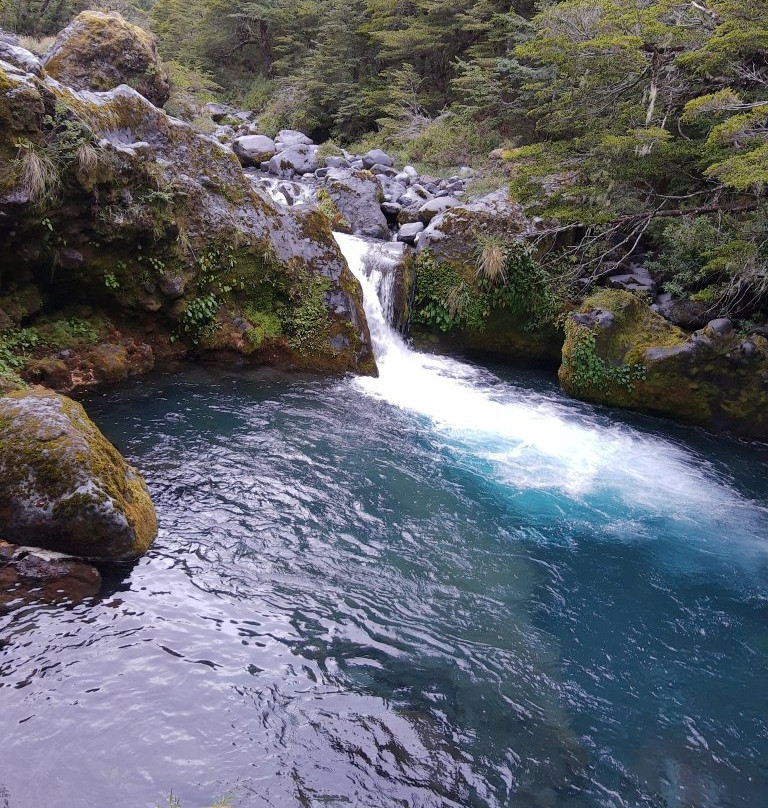 Reserva Nacional Mocho Choshuenco-Choshuenco必去景点