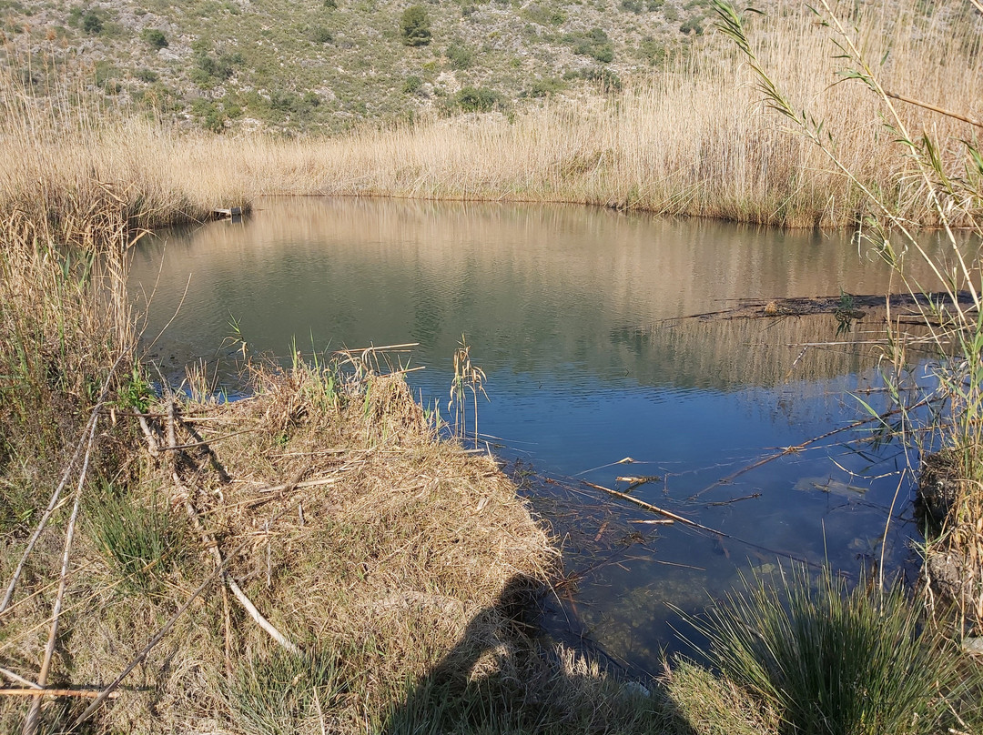 Parque Natural del Marjal de Pego-Oliva景点图片
