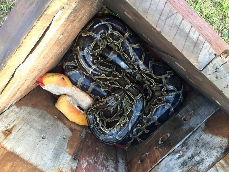 Bel Air Collection Resort & Spa Riviera Maya主图