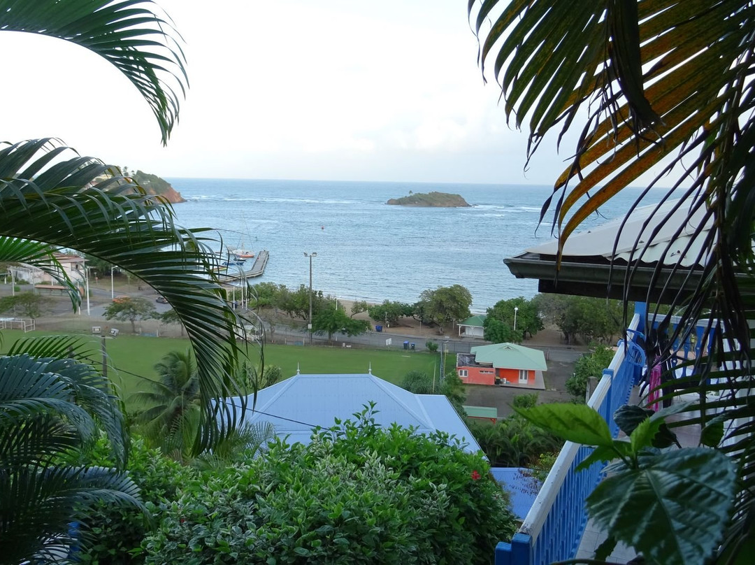 Hotel Le Manguier主图