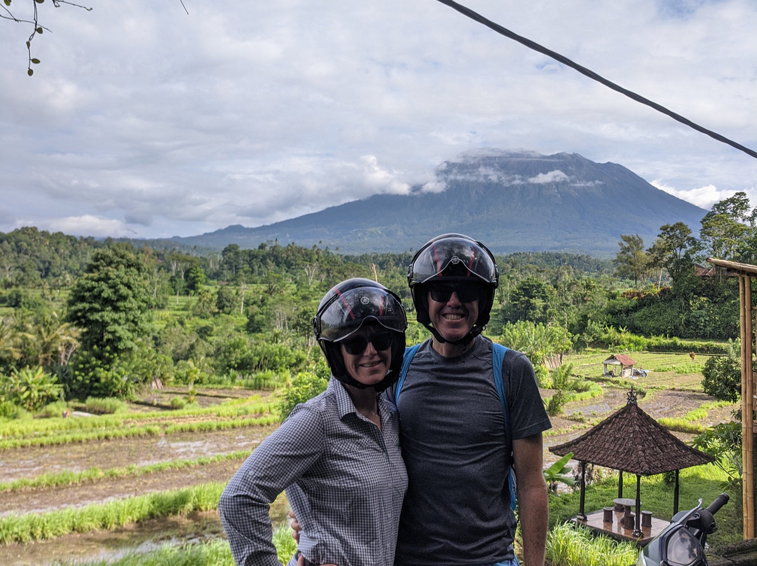 萨曼瓦亚酒店主图