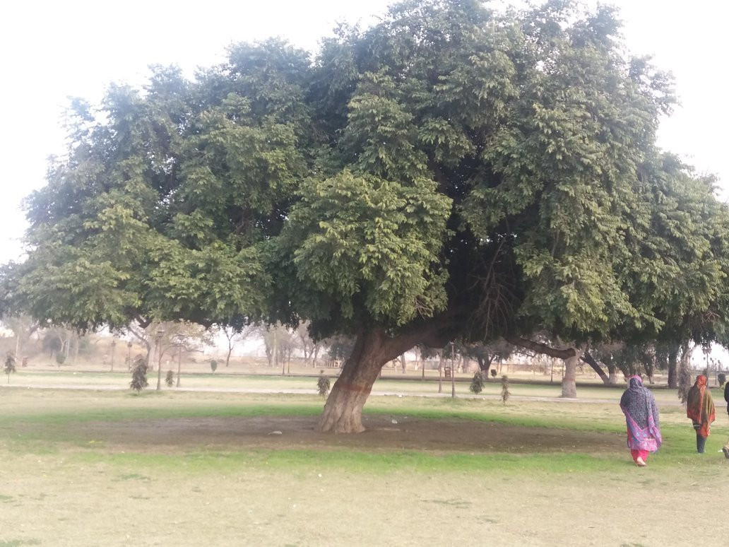 Hiran Minar Tomb-Sheikhupura必去景点
