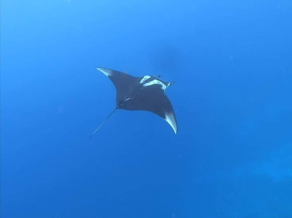 Magical Tours-Safaga必去景点
