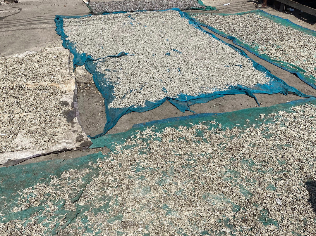 Kivukoni Fish Market-Dar es Salaam必去景点