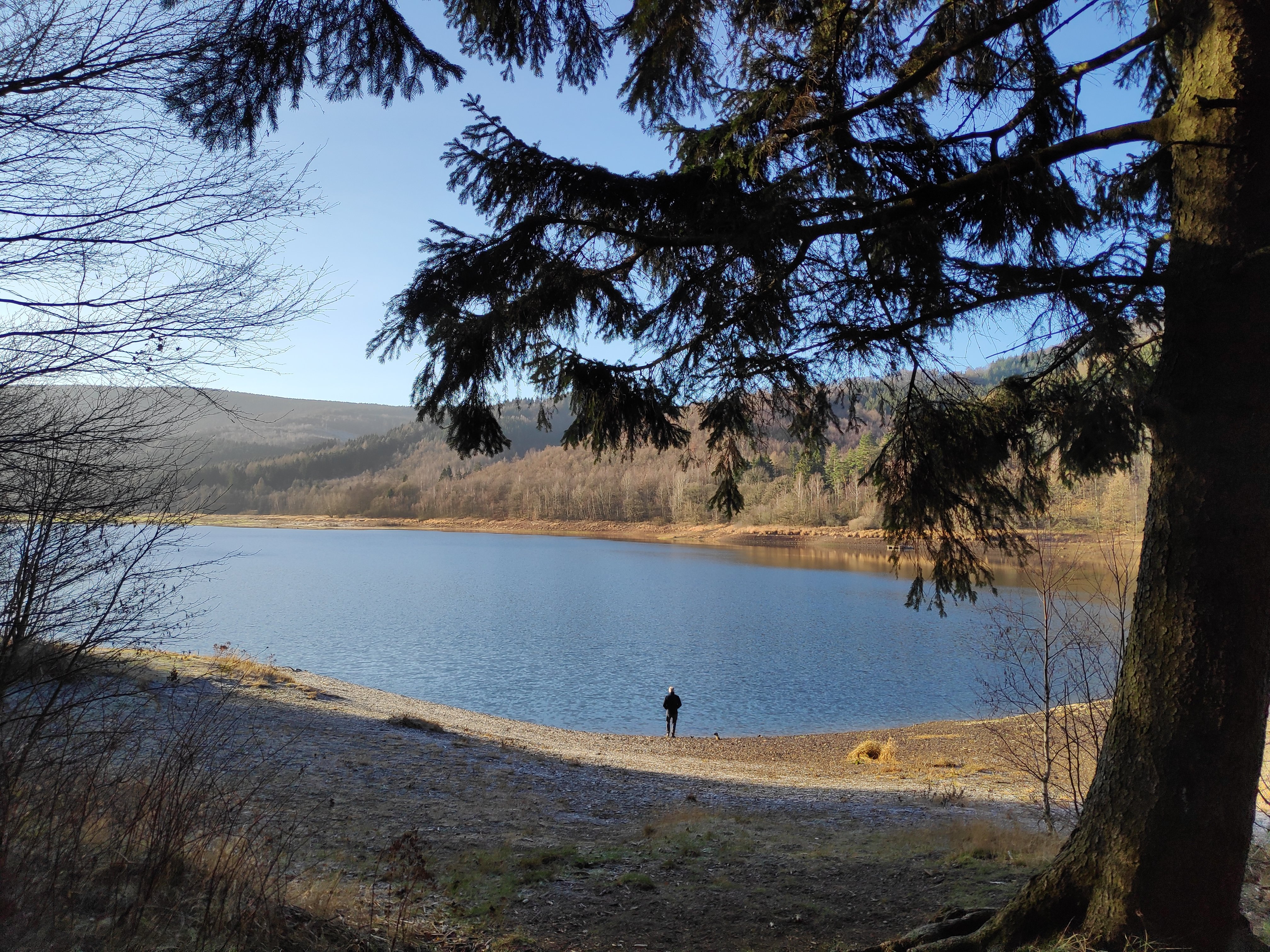 Hotel Berghof am See-酒店景观