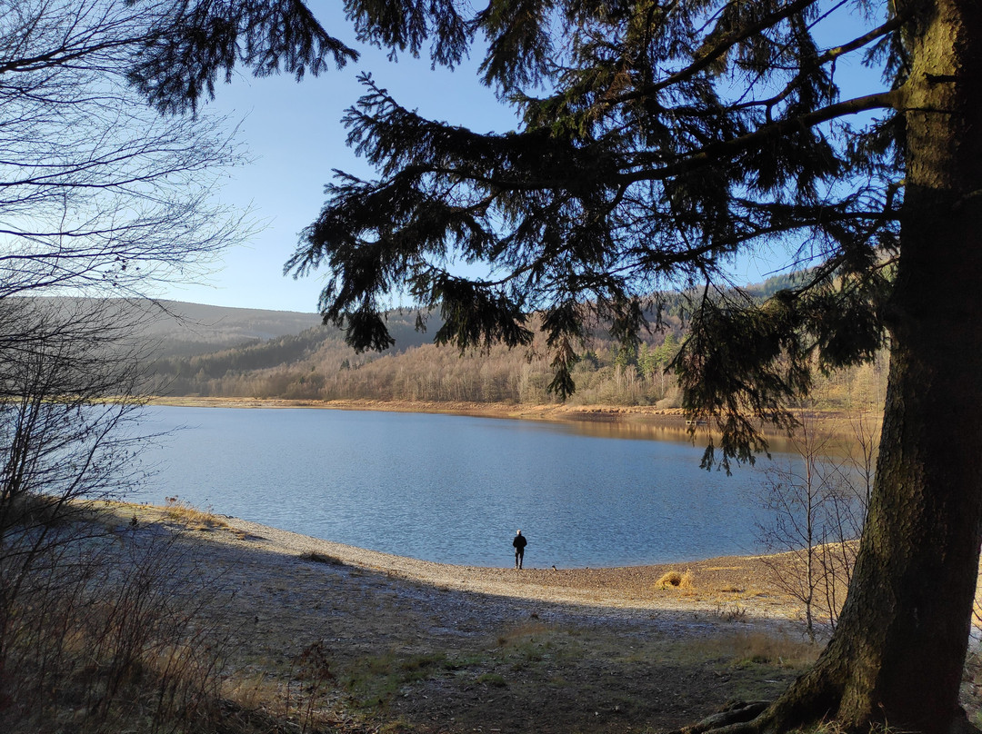 Hotel Berghof am See主图