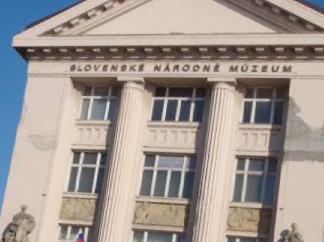 Slovak National Museum (Slovenske narodne muzeum)景点图片