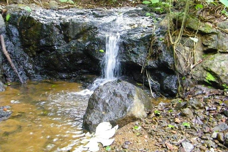 Nature walks in the Costa Rica Mountains景点图片
