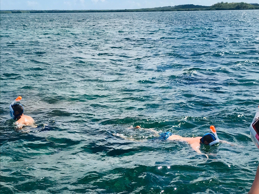 Vincent Excursions-Morne-A-l'Eau必去景点