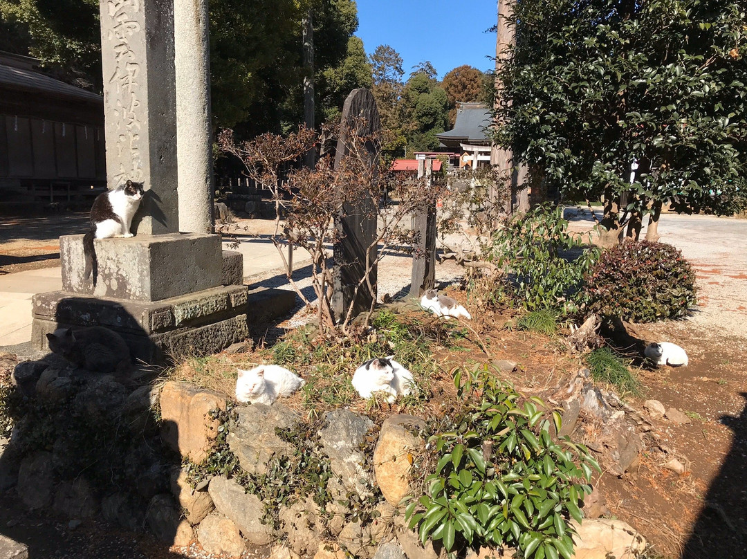 Izumo Iwai Shrine-毛吕山町必去景点