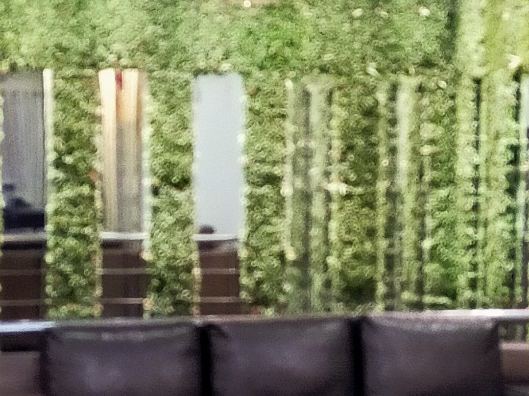 Hotel Garden View主图