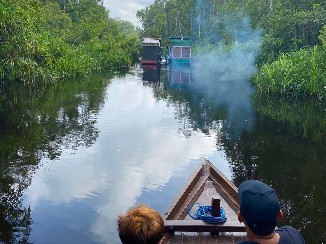 Orangutan tour - Varada Borneo-Pangkalan Bun必去景点