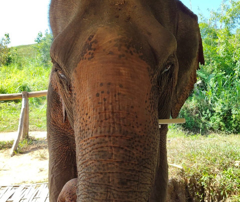 Chai Machete Tours-清莱必去景点