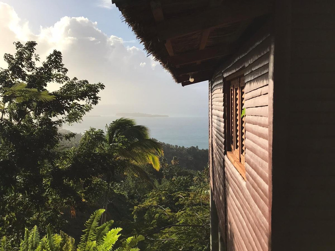 Hacienda Cocuyo主图