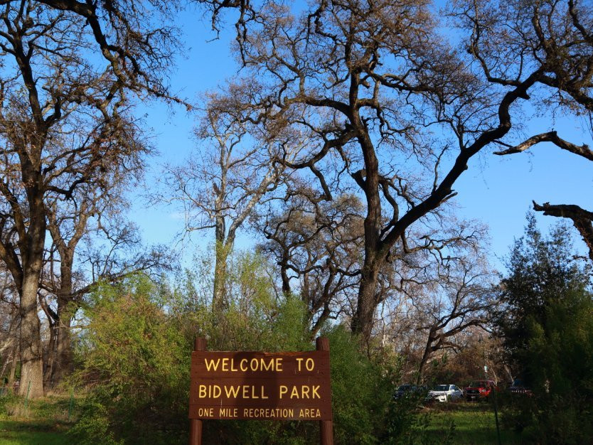 比德韦尔公园-奇科必去景点