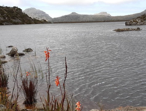 Vertigo Adventures-开普敦必去景点